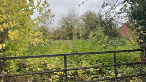 Development Potential in Ludlow photo